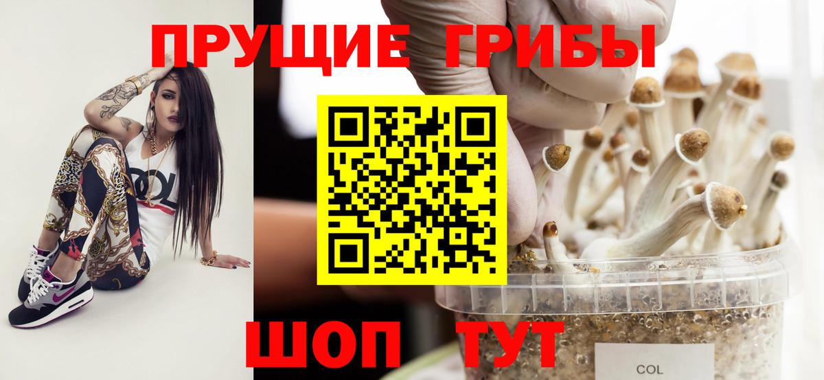 Псилоцибиновые грибы ЛСД  Псилоцибиновые грибы GOLDEN TEACHER  Павлово  Вход с VPN 